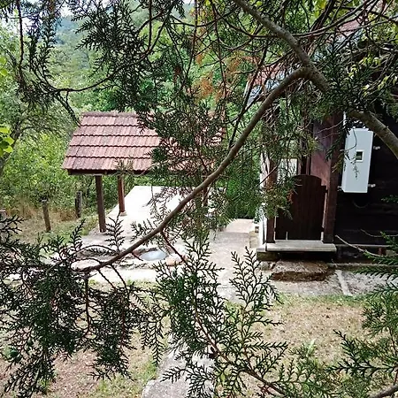 Vikendica Ovcar Banja Holiday home Cacak