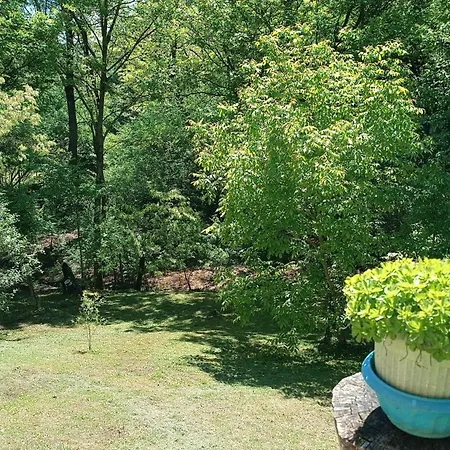 別荘 Vikendica Ovcar Banja